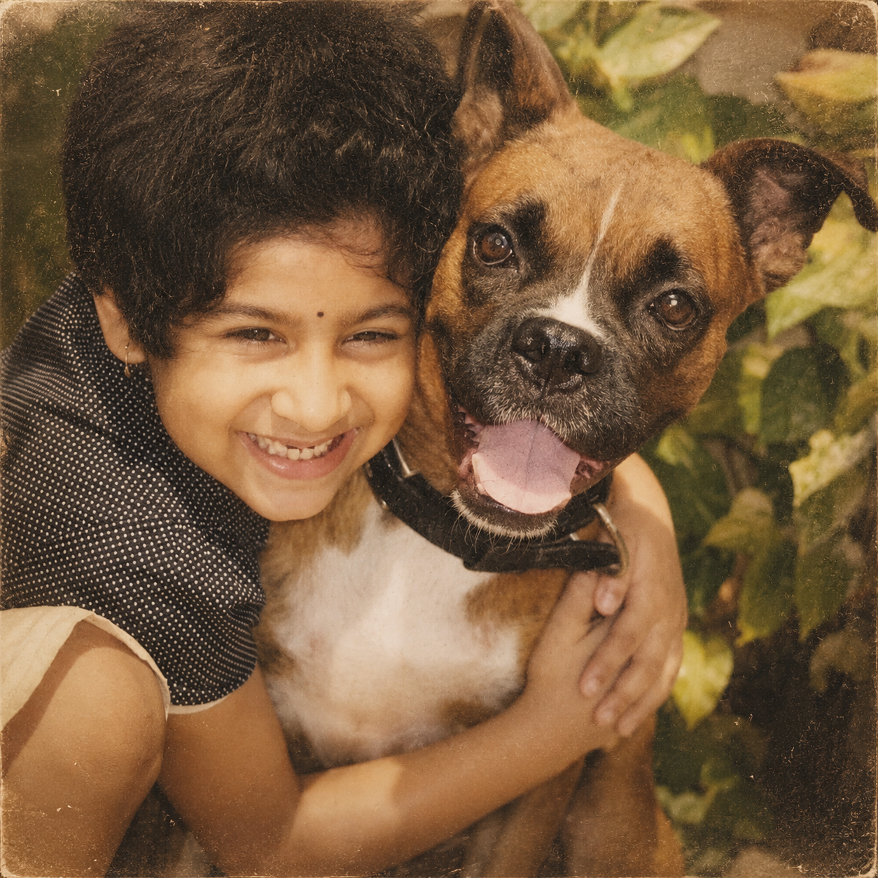 Pets/Animals