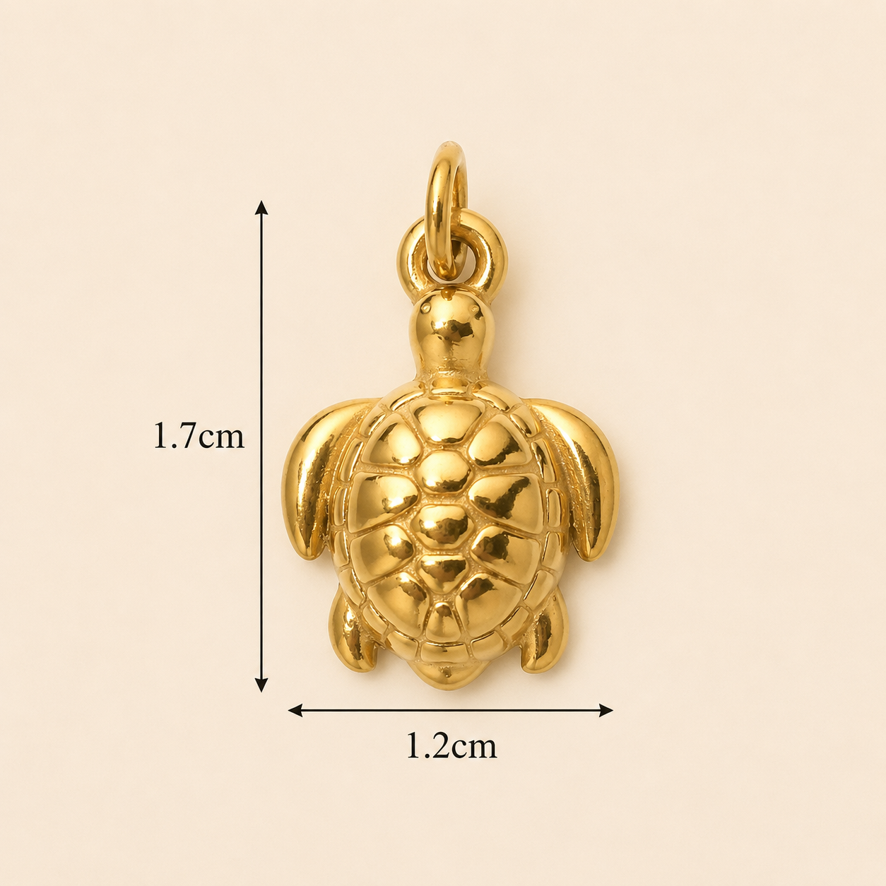 Tortoise/Turtle Charm
